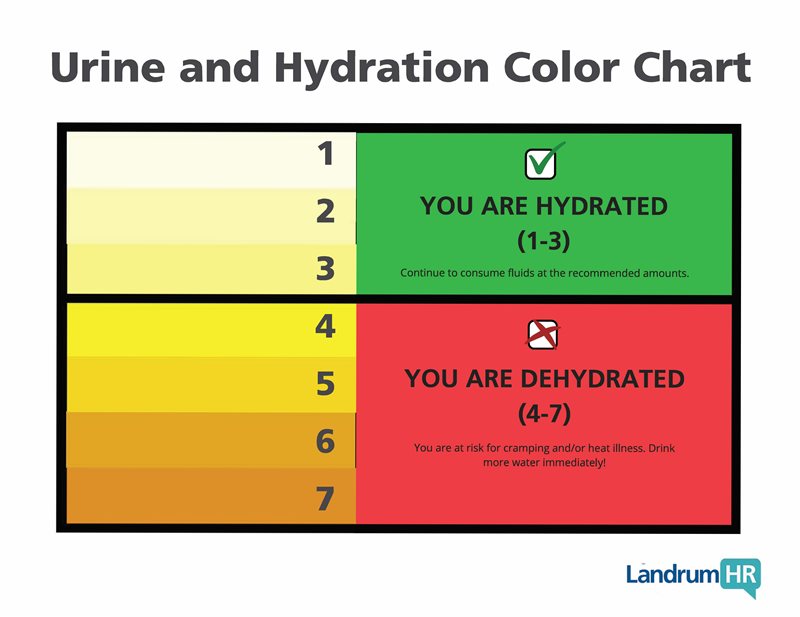 Urine and Hydration Color Chart